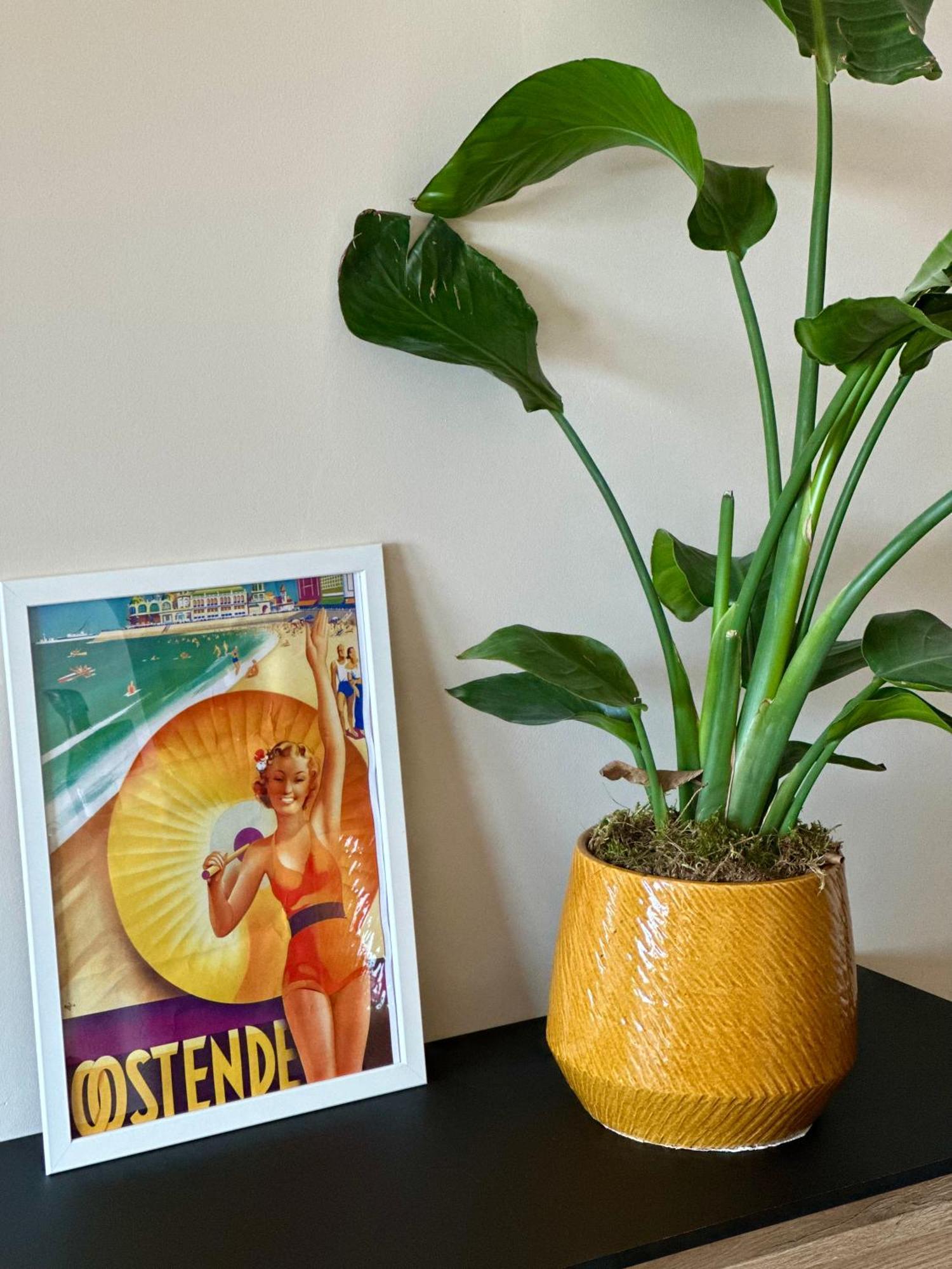 Studio By Aimee - 20M From The Beach & In City Centre! Oostende Exteriör bild